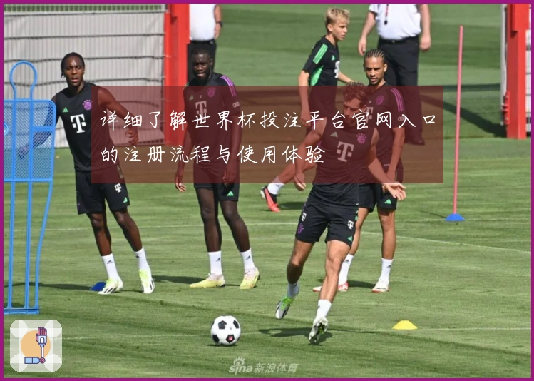 详细了解世界杯投注平台官网入口的注册流程与使用体验