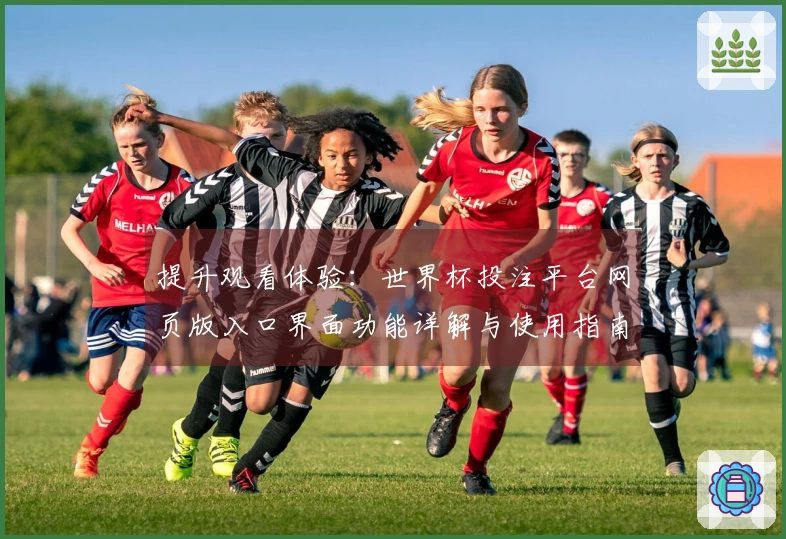 提升观看体验：世界杯投注平台网页版入口界面功能详解与使用指南