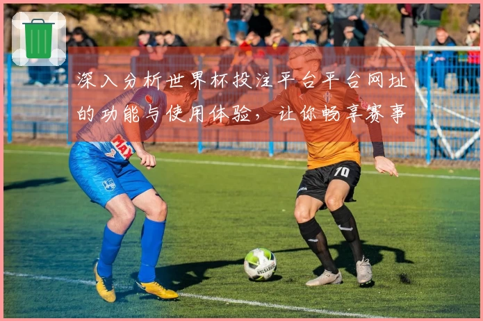 深入分析世界杯投注平台平台网址的功能与使用体验，让你畅享赛事直播乐趣