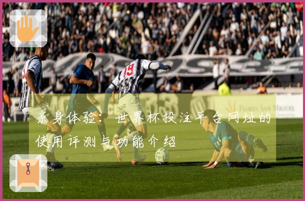 亲身体验：世界杯投注平台网址的使用评测与功能介绍