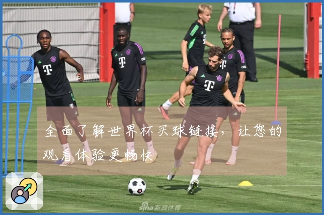 全面了解世界杯买球链接，让您的观看体验更畅快