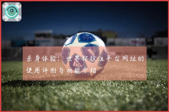亲身体验：世界杯投注平台网址的使用评测与功能介绍