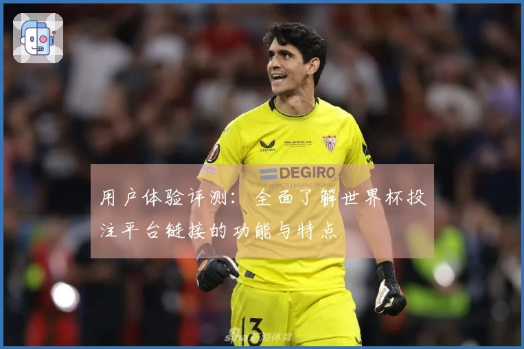 用户体验评测：全面了解世界杯投注平台链接的功能与特点