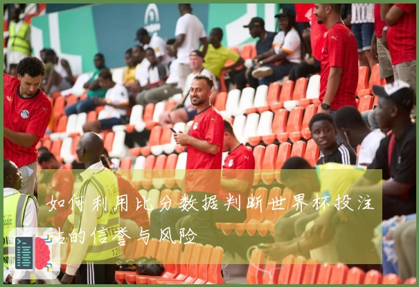 如何利用比分数据判断世界杯投注站的信誉与风险