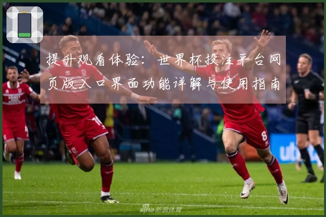 提升观看体验：世界杯投注平台网页版入口界面功能详解与使用指南